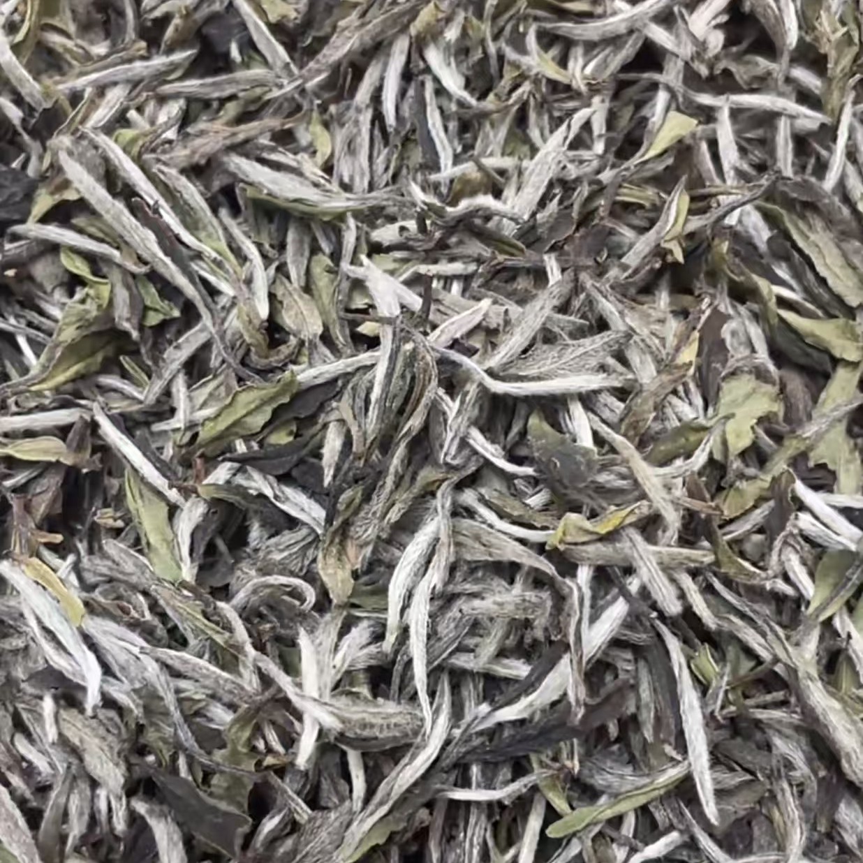 临时链接  2018年荒山牡丹王散茶