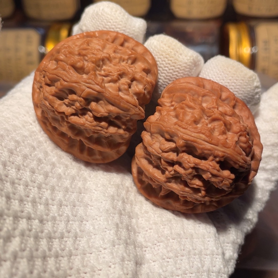 核桃42三角白bbbbb