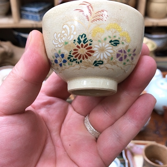 杯11111111111111111