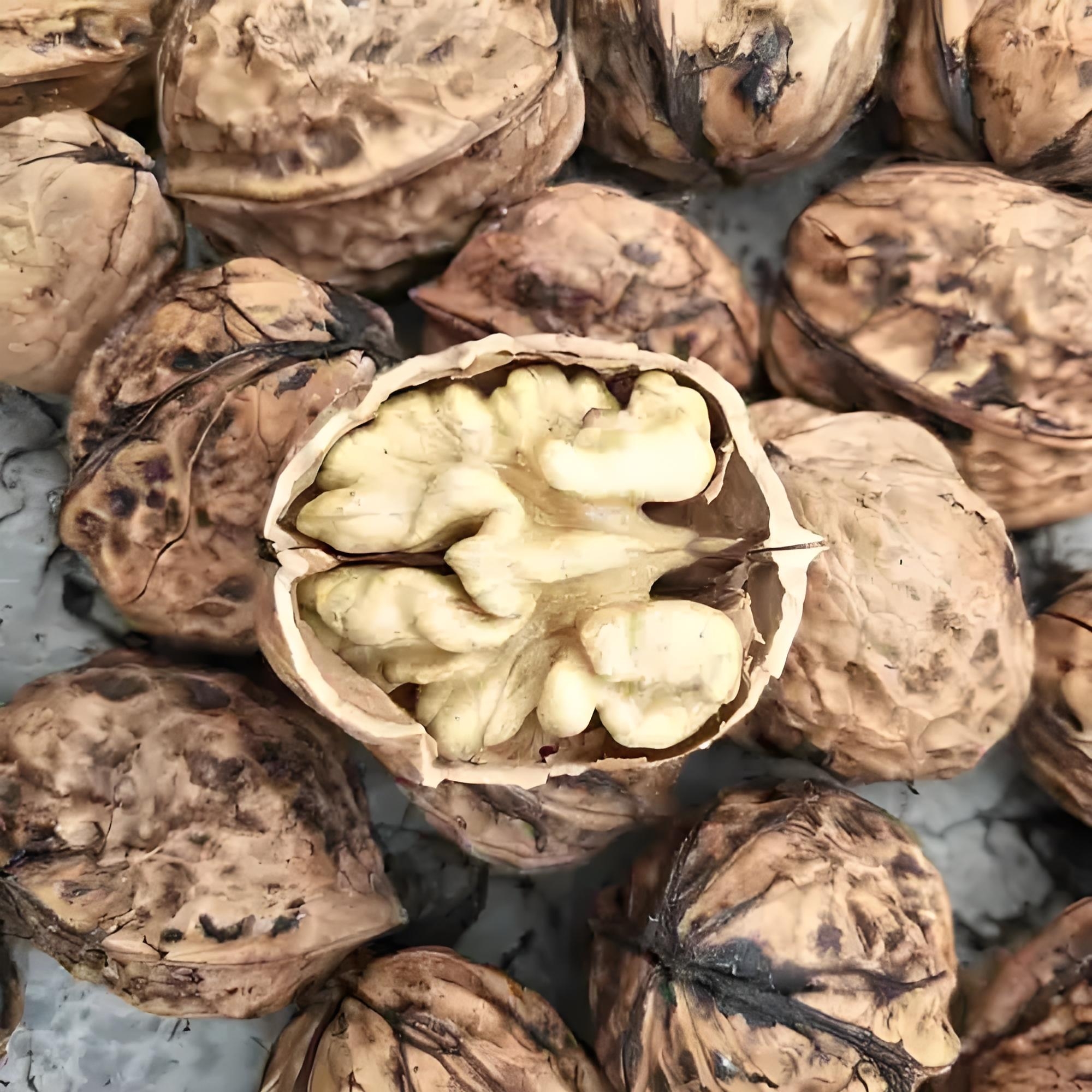 贵州2025年新鲜高山老树干核桃