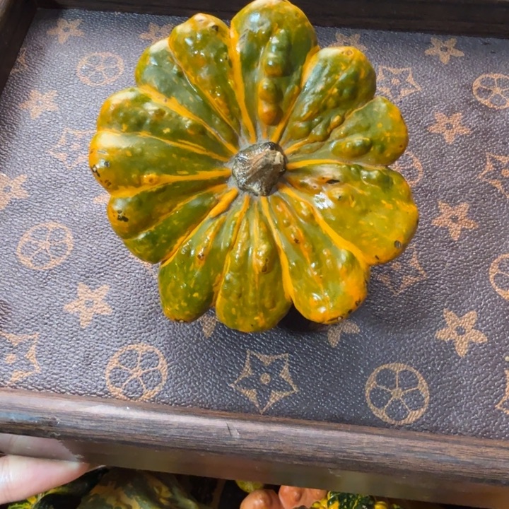 八***奏嗯饿哦饿哦饿哦饿哦饿哦