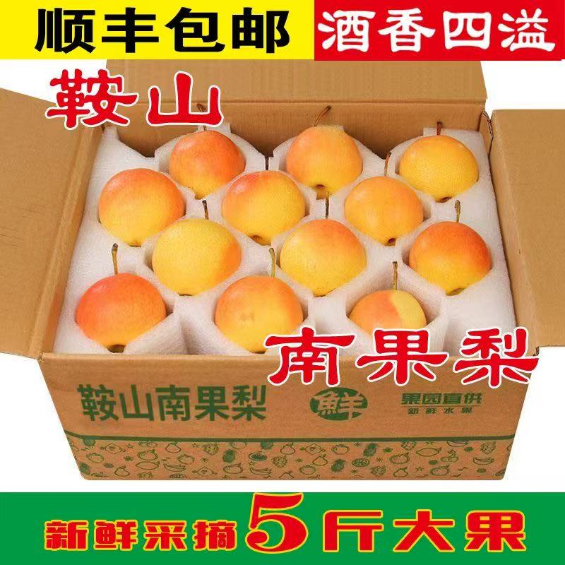 顺丰包邮鞍山南果梨东北特产香甜多汁新鲜水果