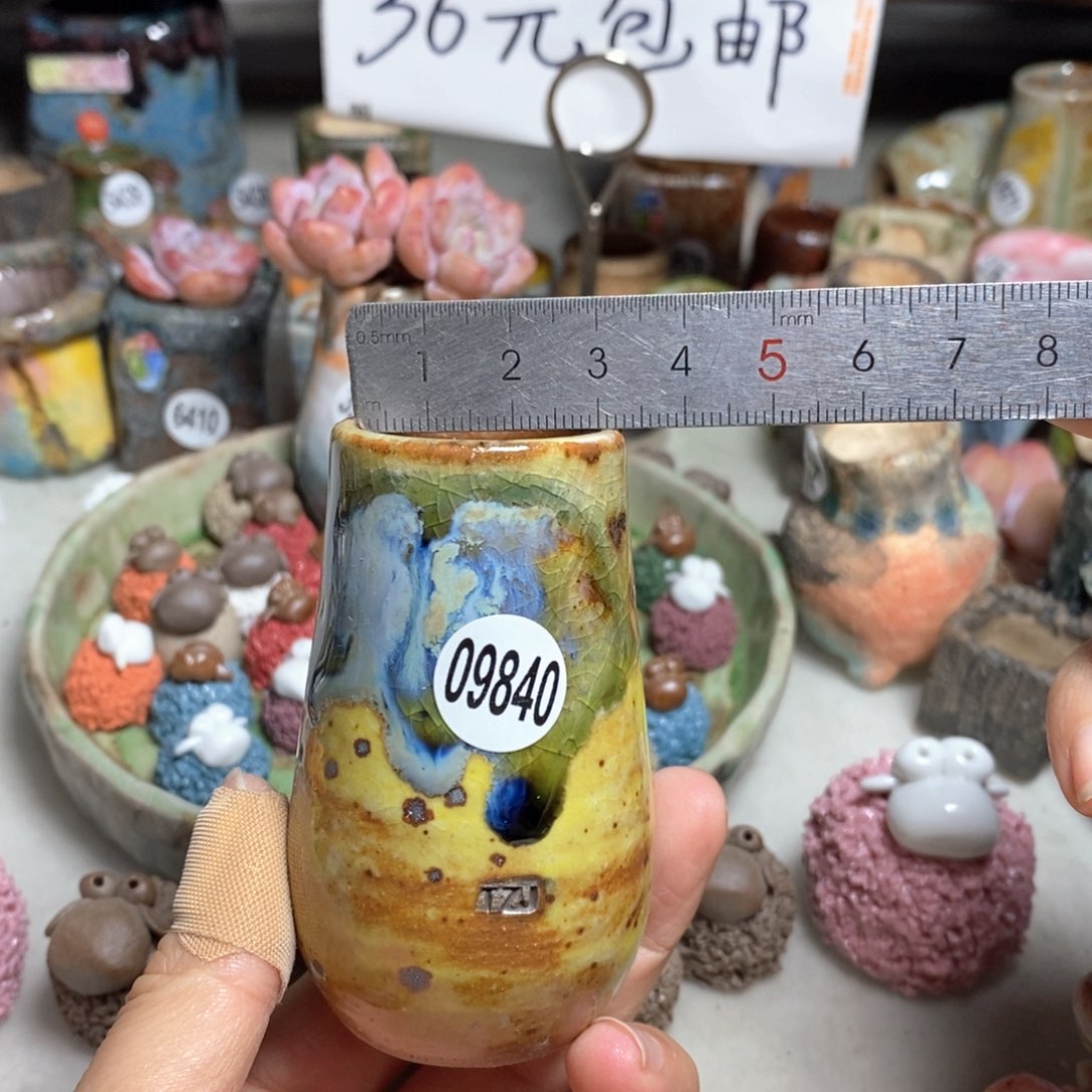 拍5送一个小礼物