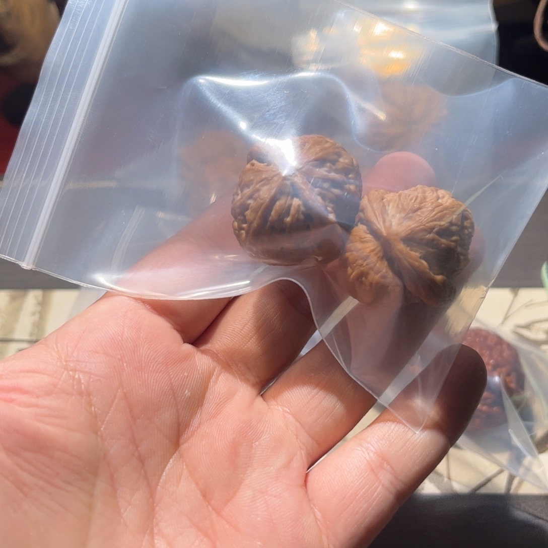 芭***豆文玩核桃吊坠巴豆元宝