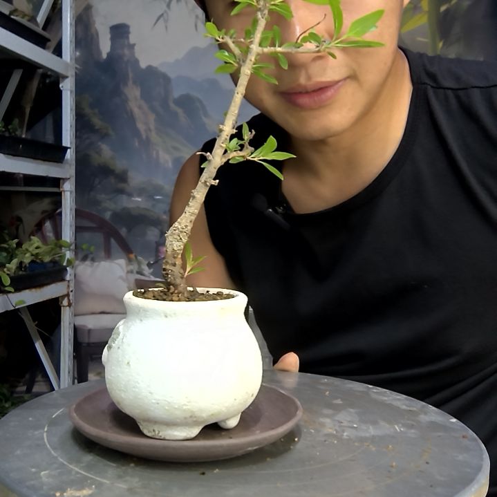 小***＂中青园艺一物一拍202