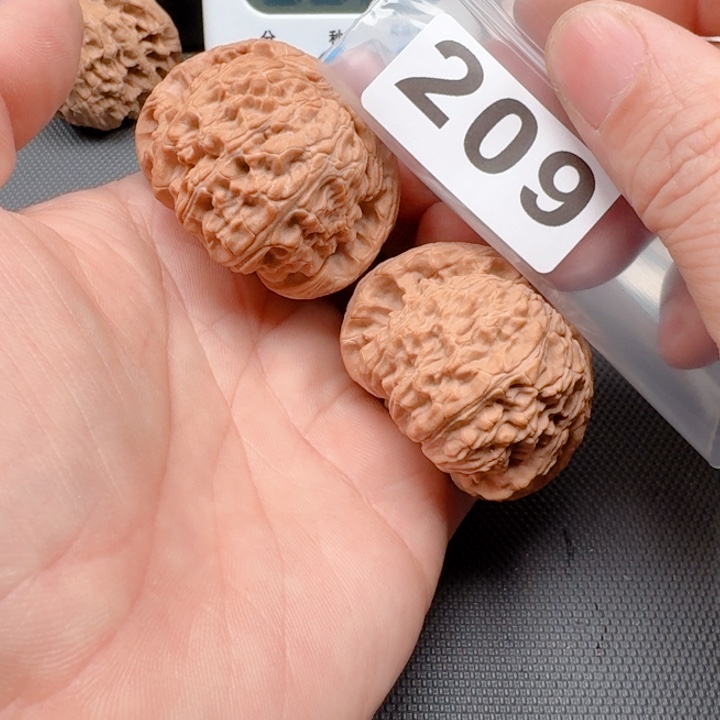 文玩核桃把件?****✨白狮46