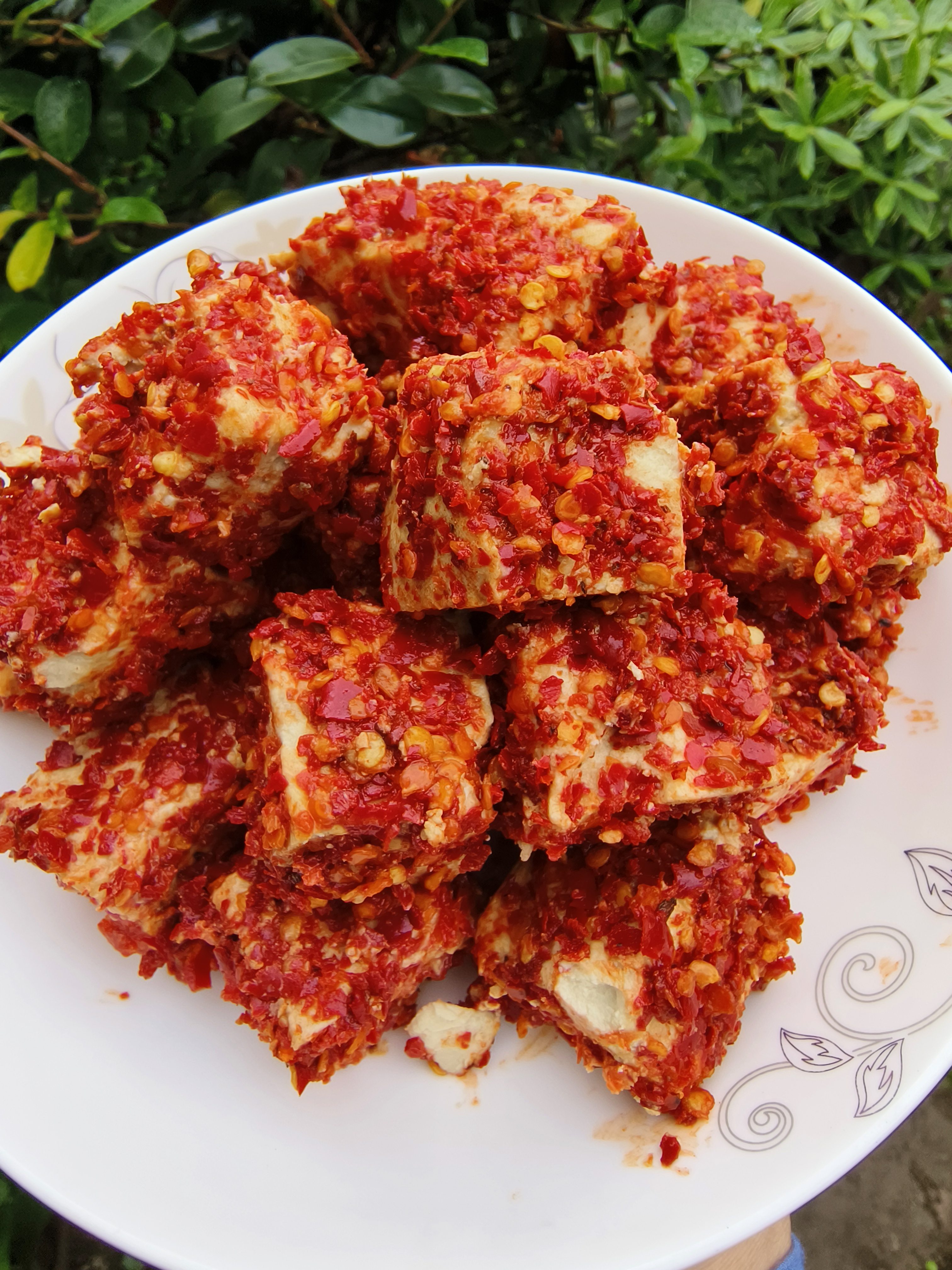 农家手工制作坛子里面的霉豆腐