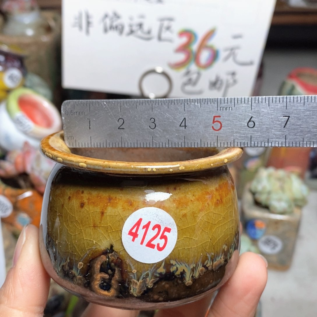 花盆拍5个送一个小礼物