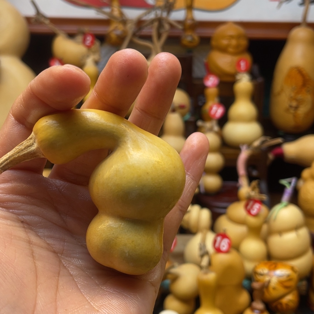 ?**✨葫芦等经济林木的分布情况及