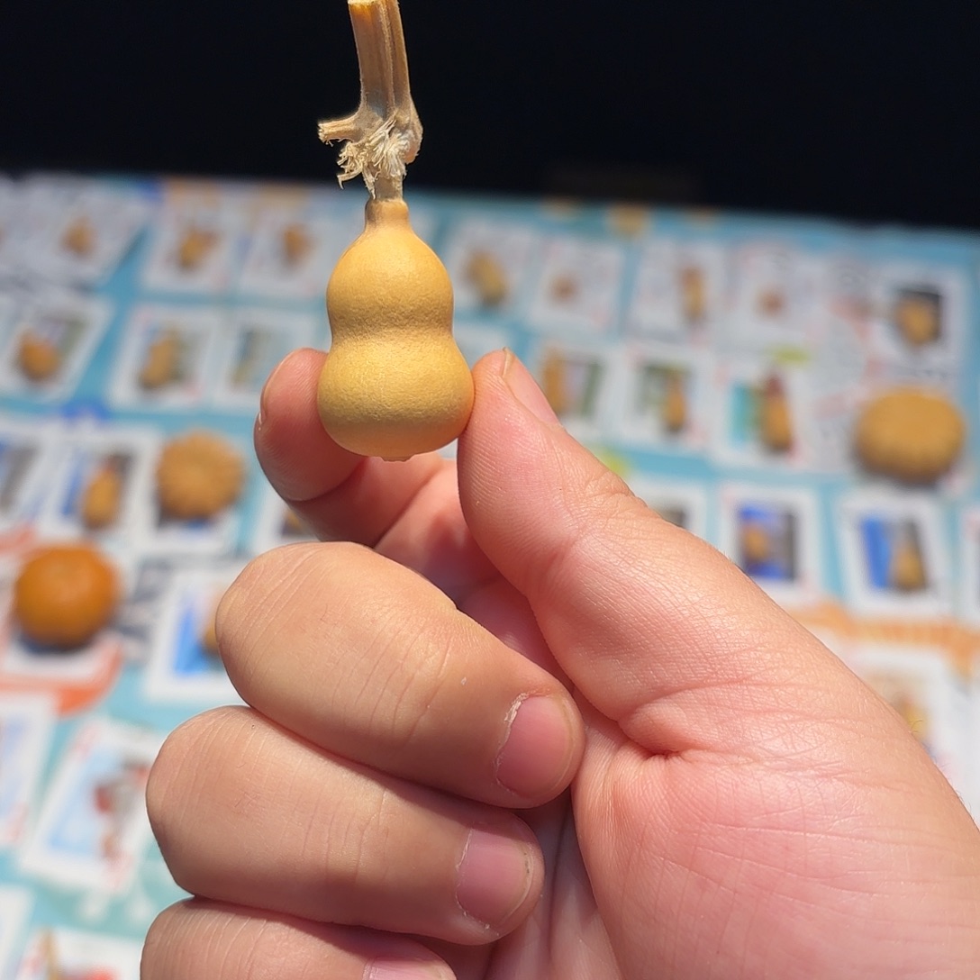 R***a哈哈哈哈哈哈哈哈哈哈