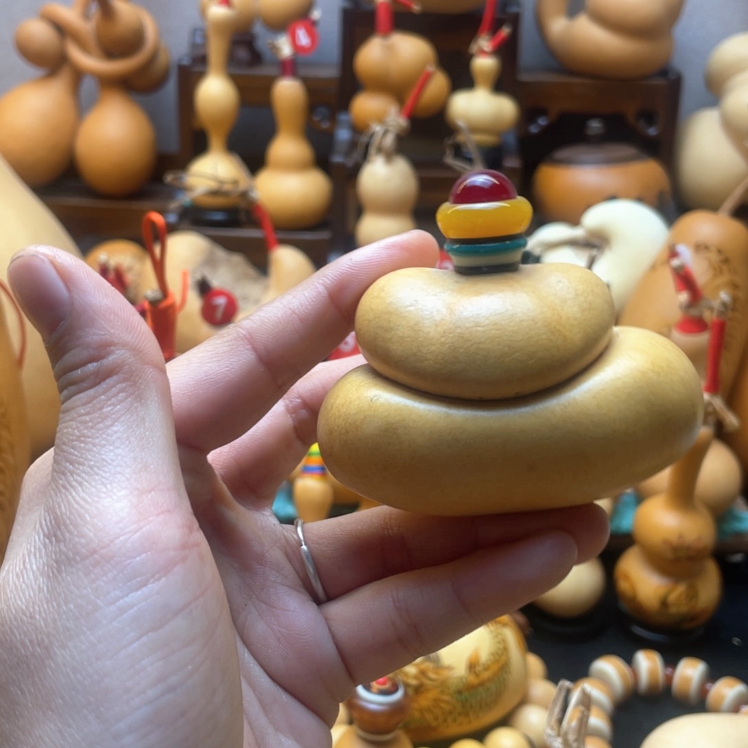 A*R大自然的秘密第十一节你是