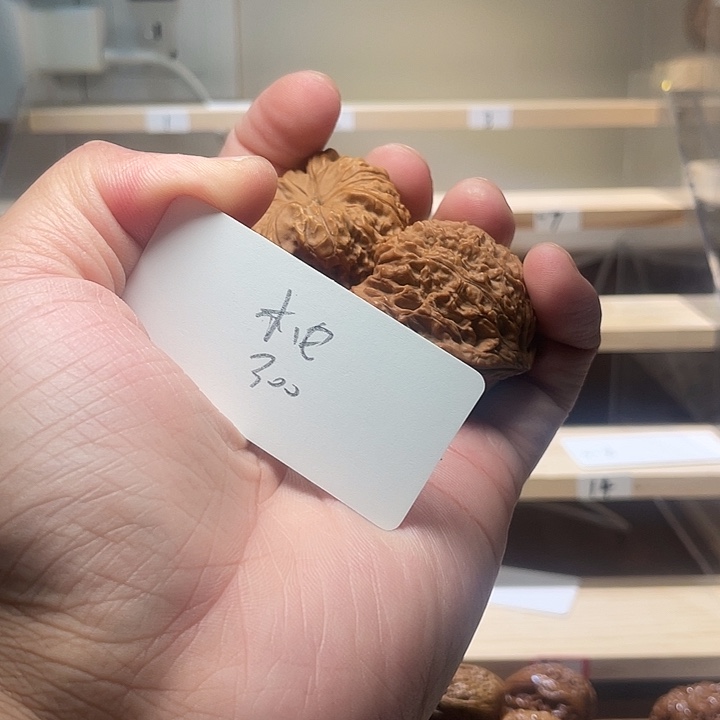 木***由把件文玩核桃鲸品南疆石核桃有黄