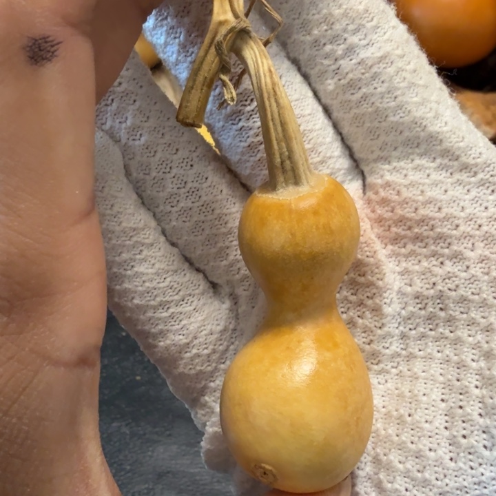 姐***爱66………………………………………………