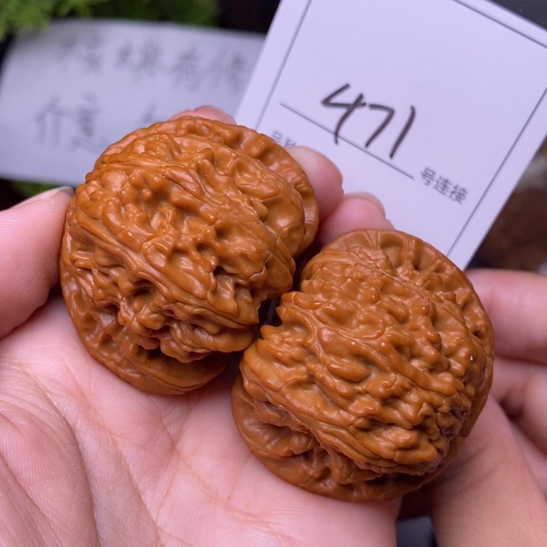 文玩核桃把件471闷尖白狮子头4.4