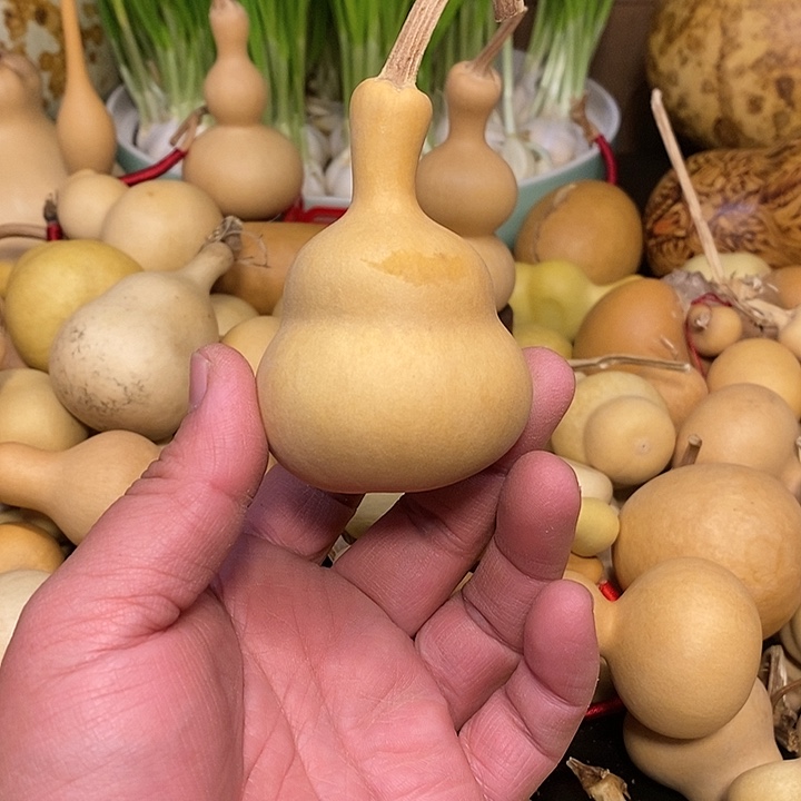 H****o精品葫芦手把葫芦105