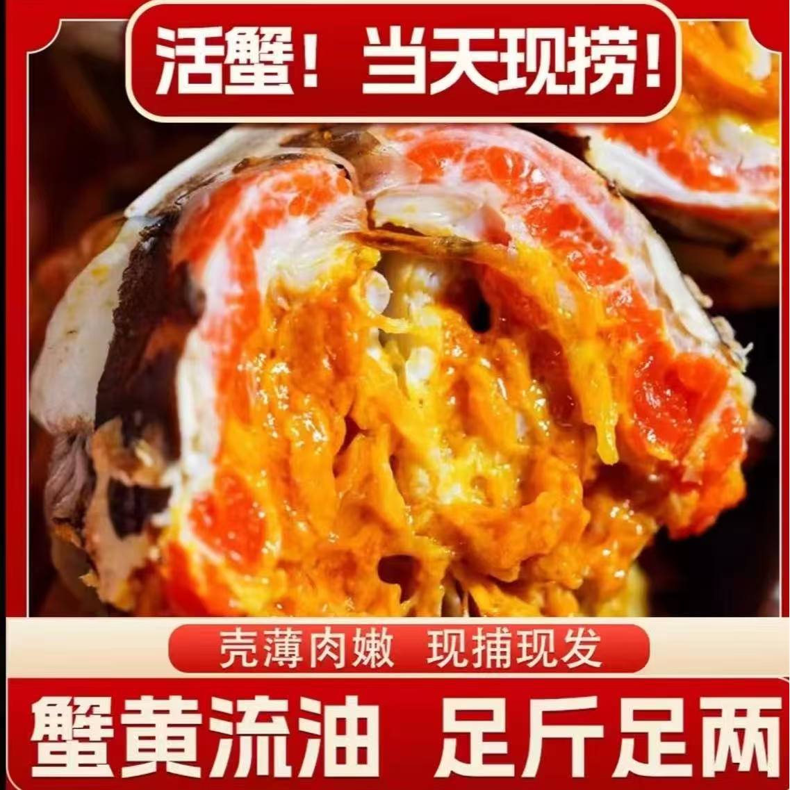 【活蟹】洪泽湖公蟹⒉5-⒉2两母蟹（㍚0-㍙7）两公母对半共10只装河蟹z