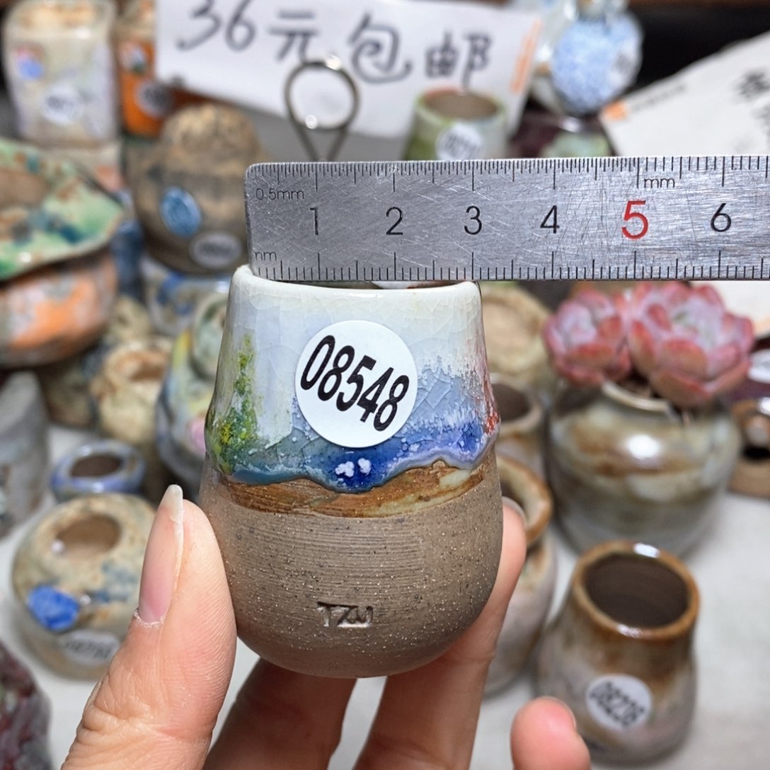 花盆拍5送一个小礼物