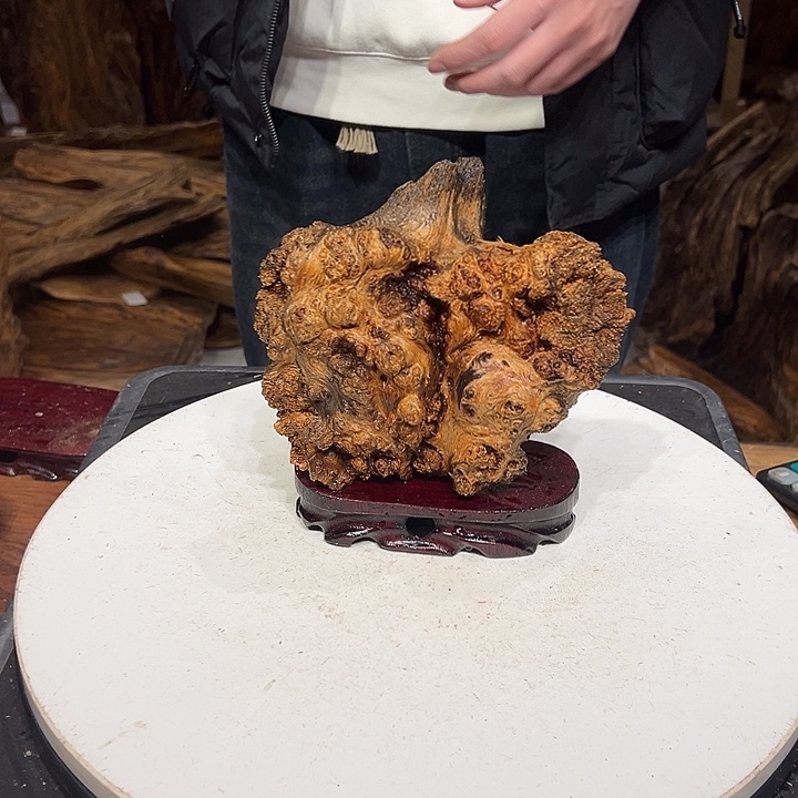 松木（琥珀木）慧****刻