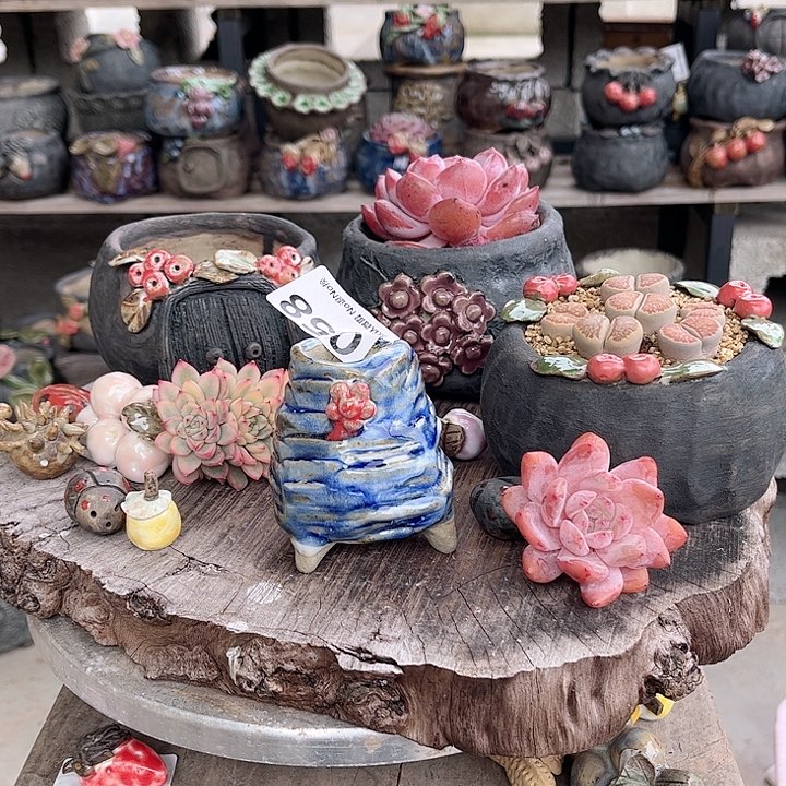 陶这个世界就是这样吗