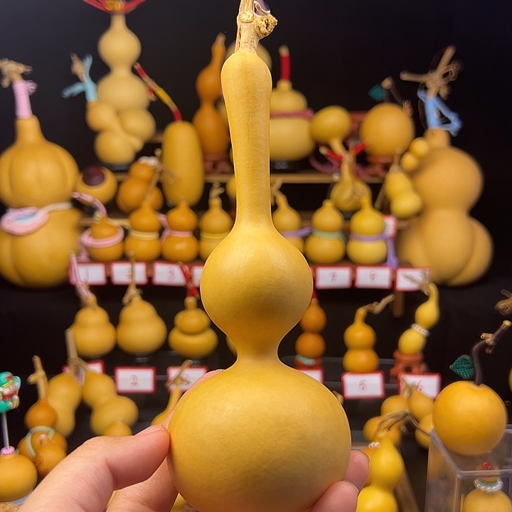 瓦檐下的我专属1111111111