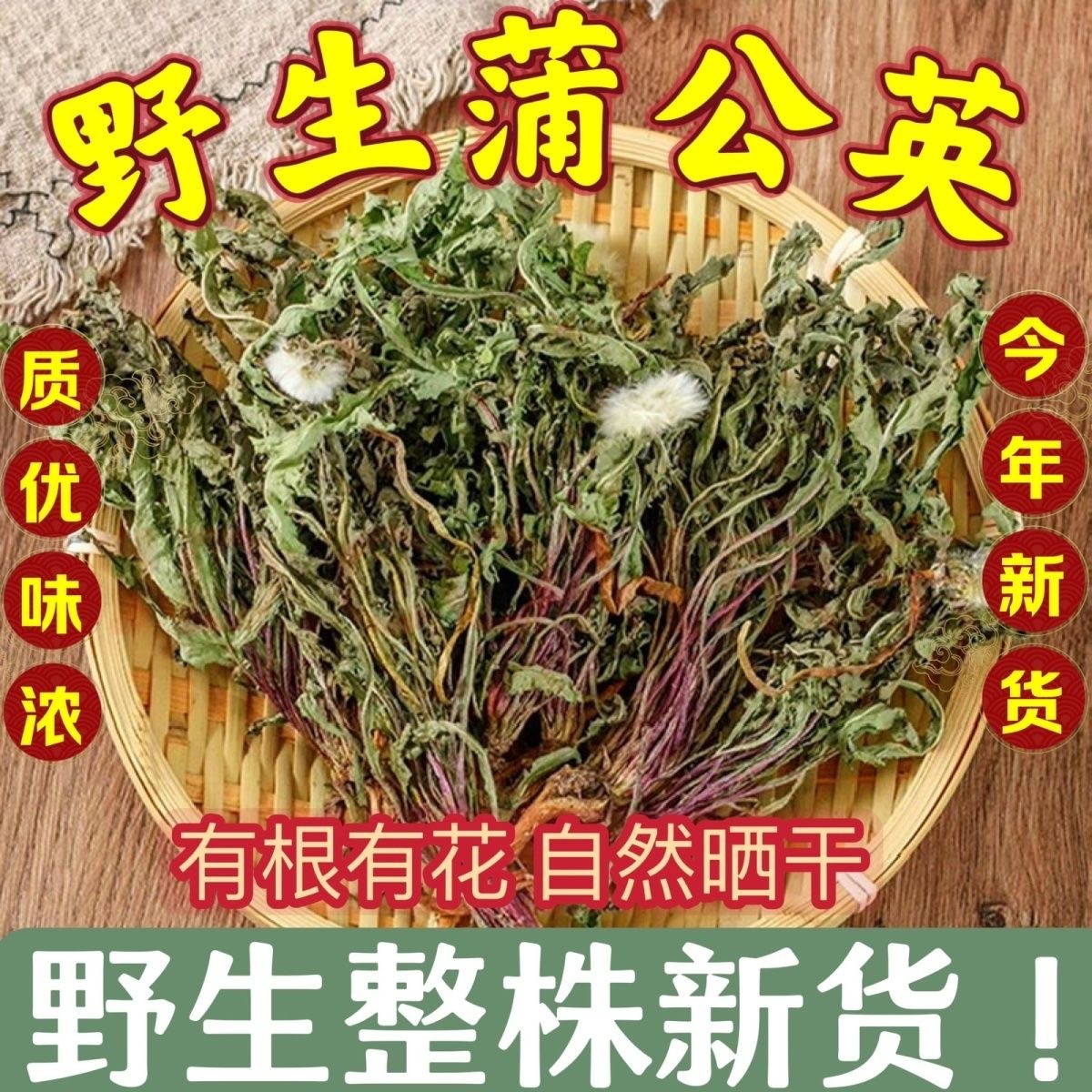 野生蒲公英250g-500g干货包邮整株蒲公英带花泡水泡茶另售藏红花