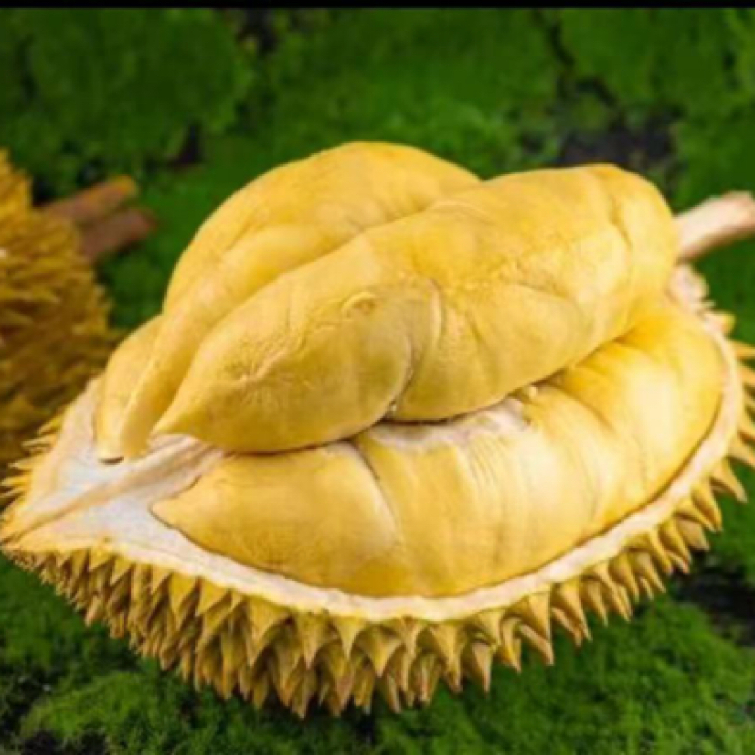 邦美树熟金枕新鲜/核小/榴莲(1000g）金枕越南