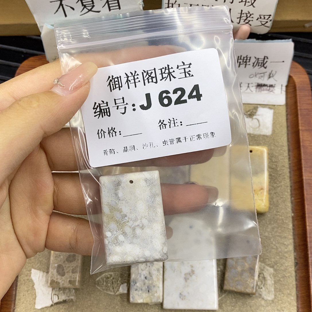硅化珊瑚（珊瑚玉）未镶嵌颈饰宝**~
