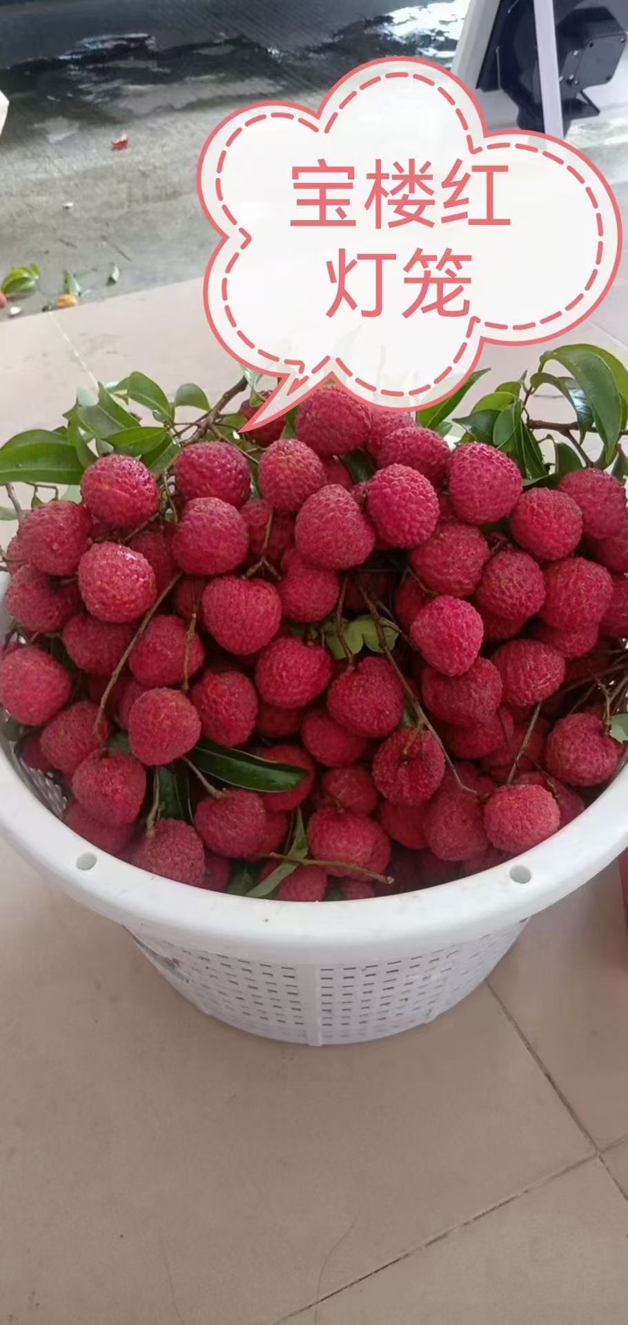 宝楼红灯笼荔枝   广东汕尾荔枝