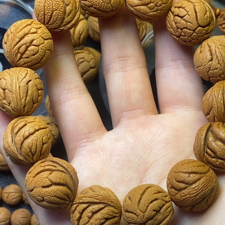 木质类秦岭山野生桃核