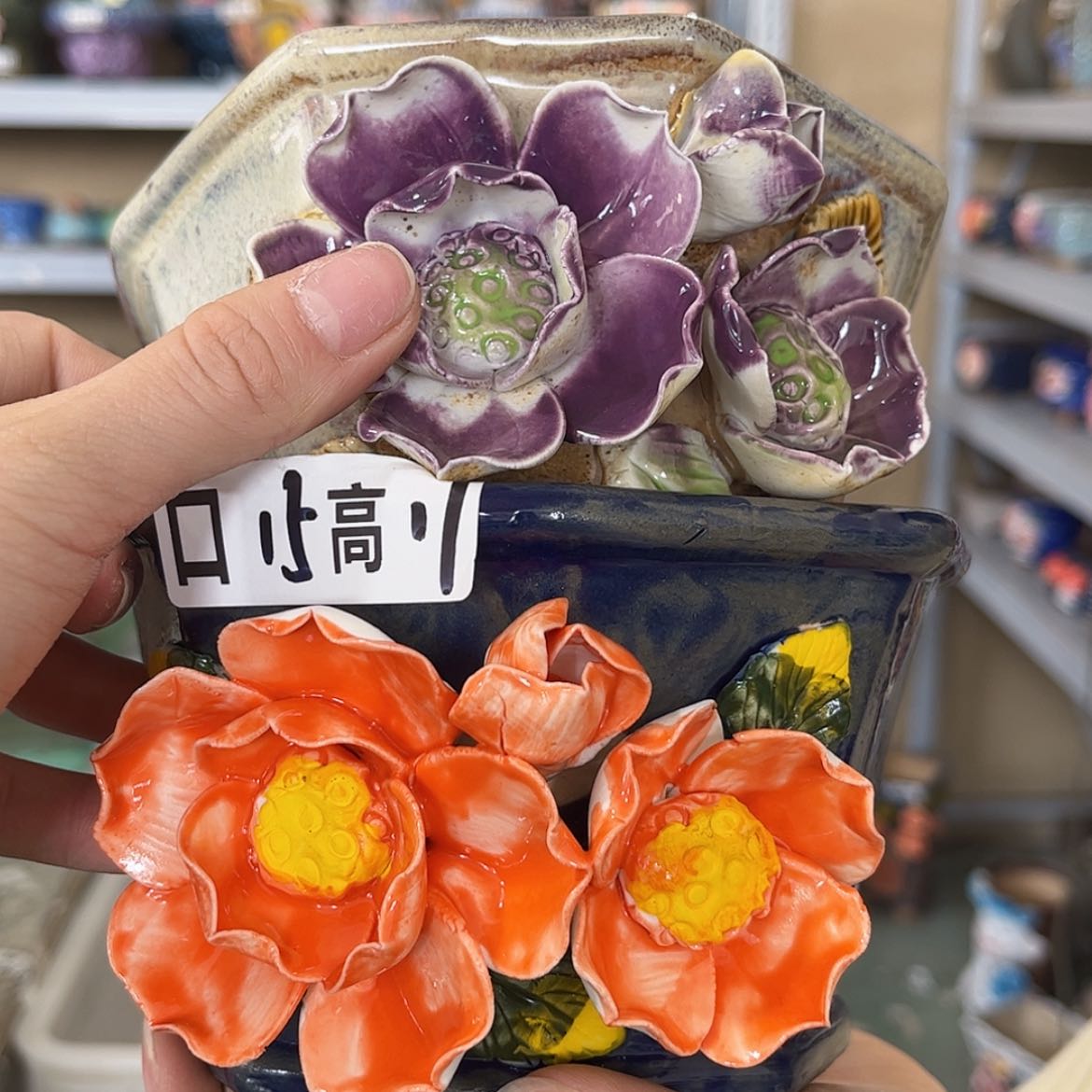 【闪购商品】红陶福利