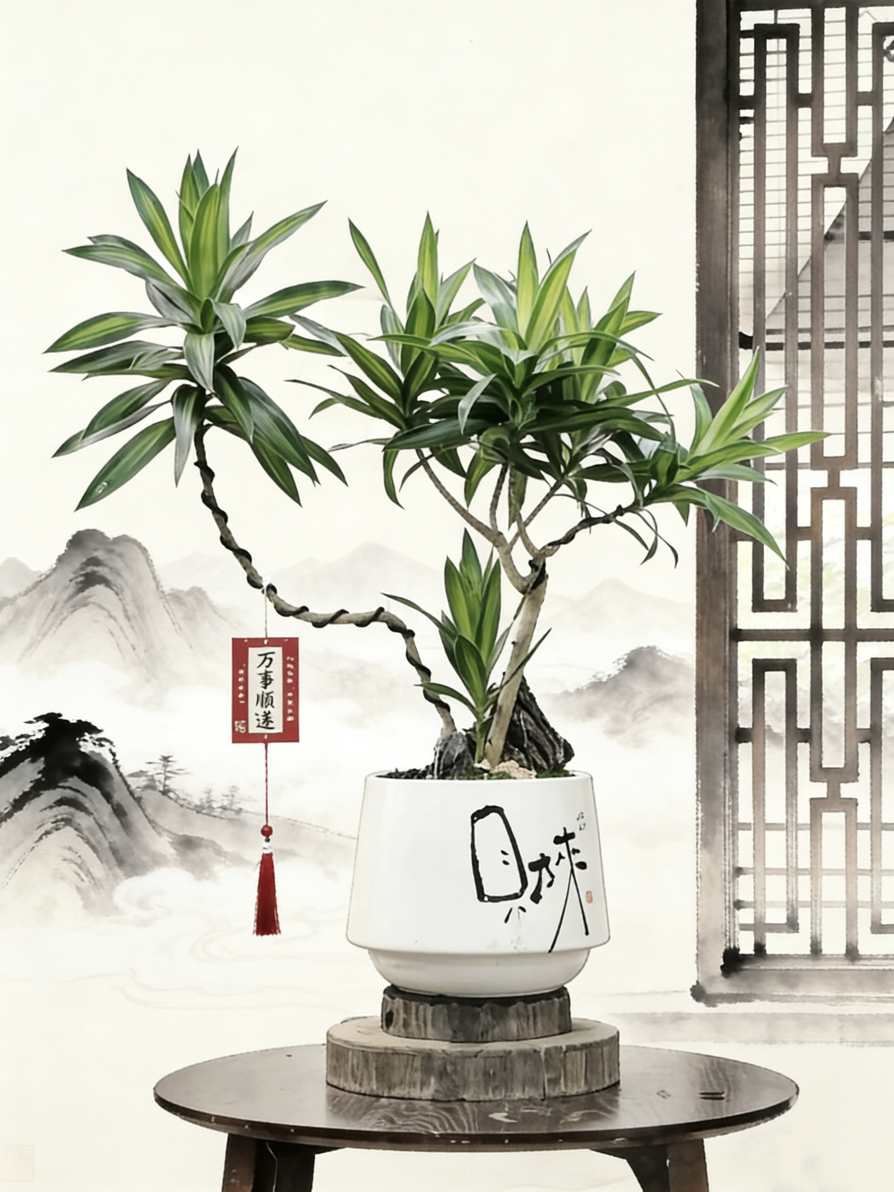 金心百合竹绿植盆栽适合室内客厅阳台书房办公室庭院种植