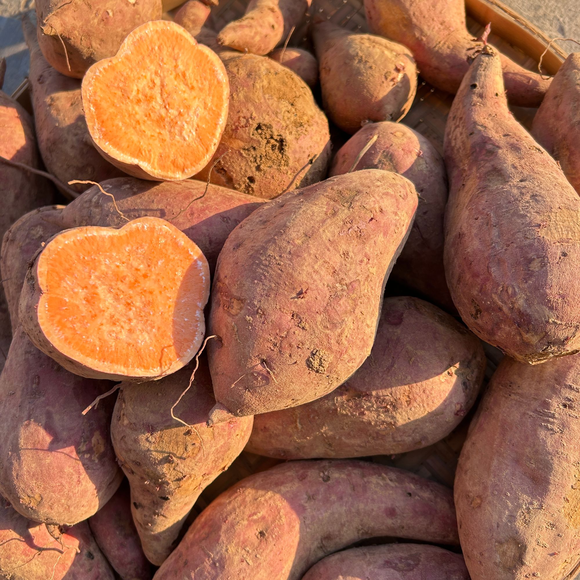 农家自种红薯正宗西瓜红蜜薯糖心新鲜番薯