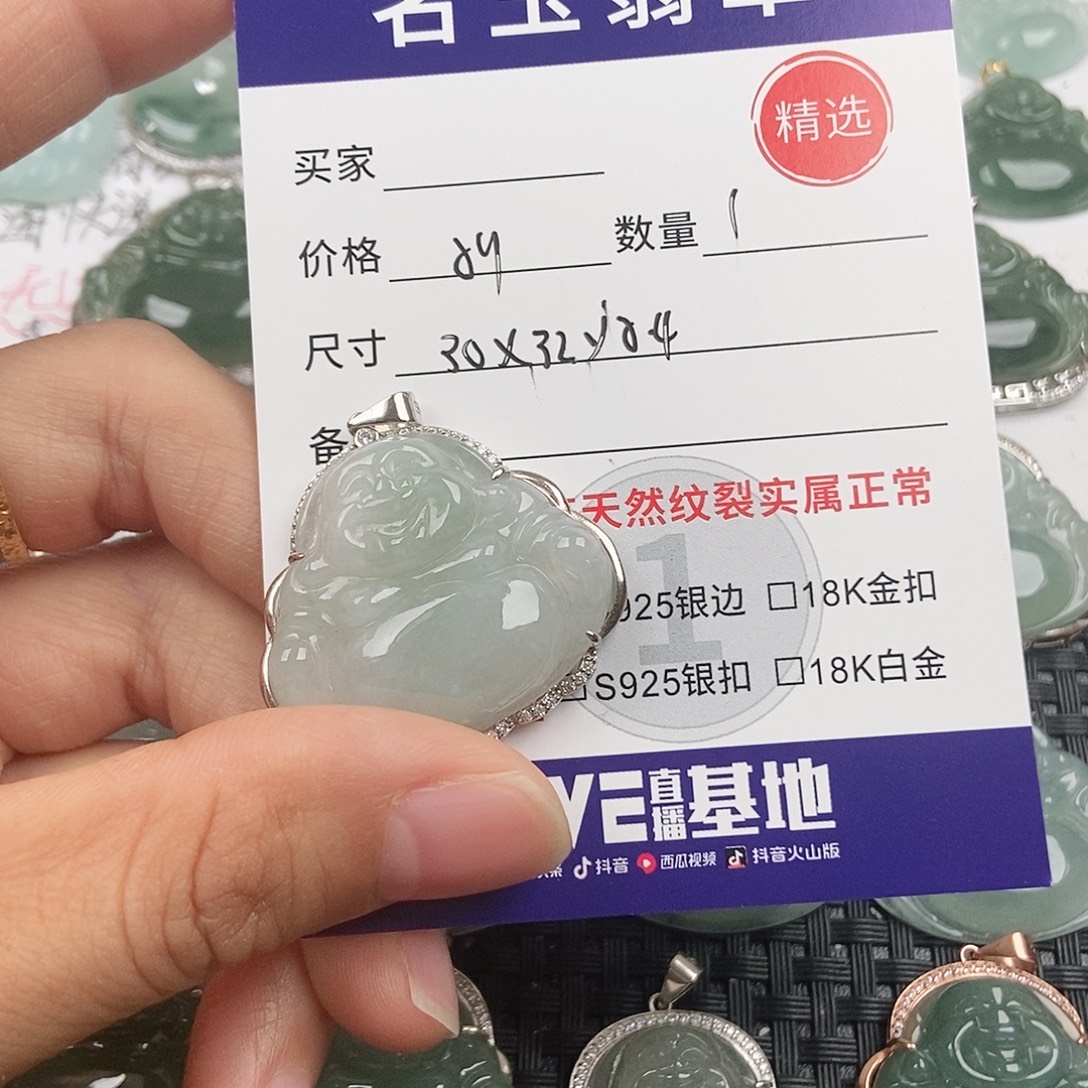 翡翠银S925镶嵌颈饰