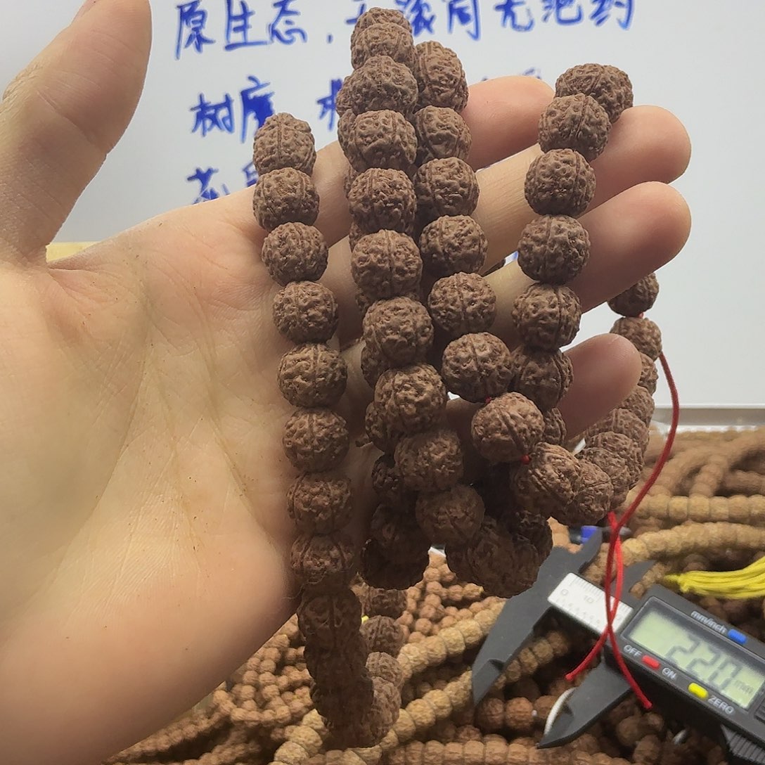 吊坠金刚菩提红皮野龙，一条保手持