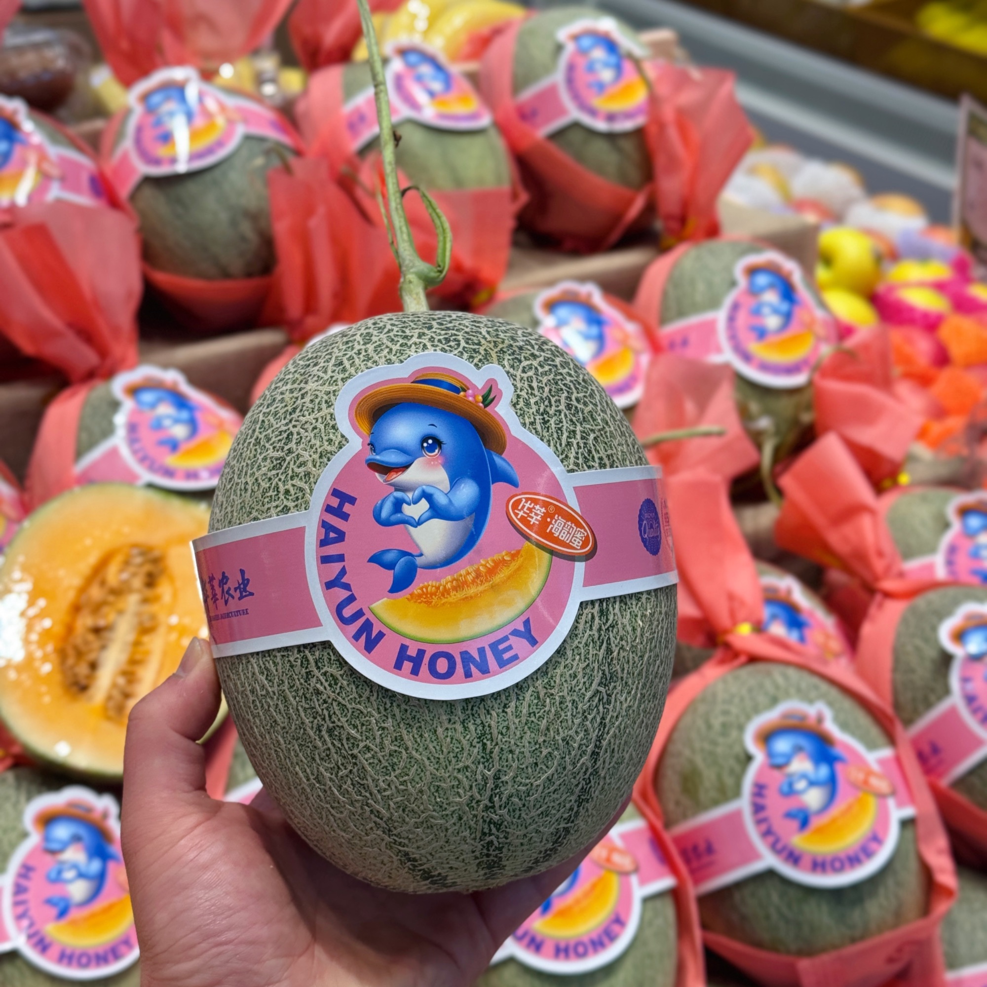 果切华莘脆甜哈密瓜 18元/个 嘎嘣脆