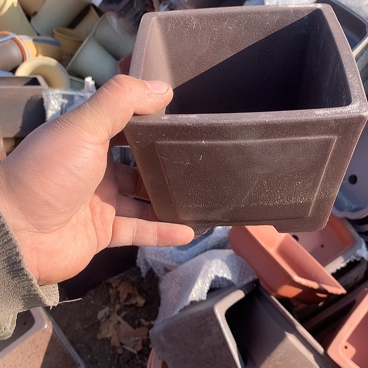 紫砂我要不就是你一句