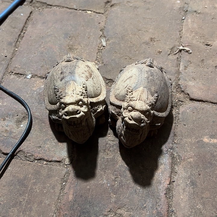 香榧木88888888888888888