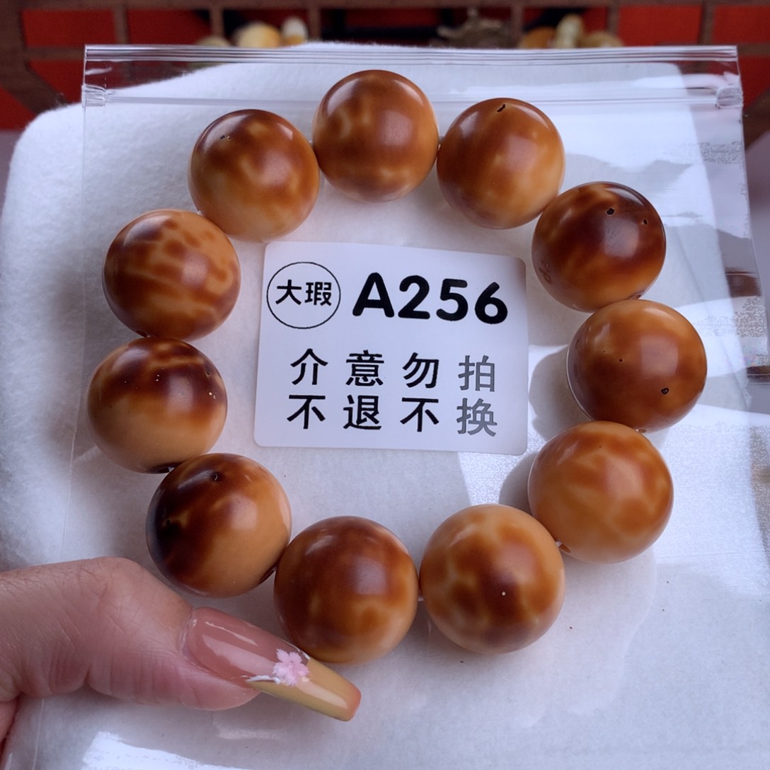 菩提根/象牙果吊坠2.4