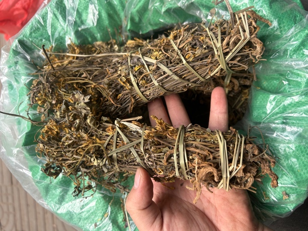 广西岩黄连  中草本岩黄连 新货晒干 无硫无添加