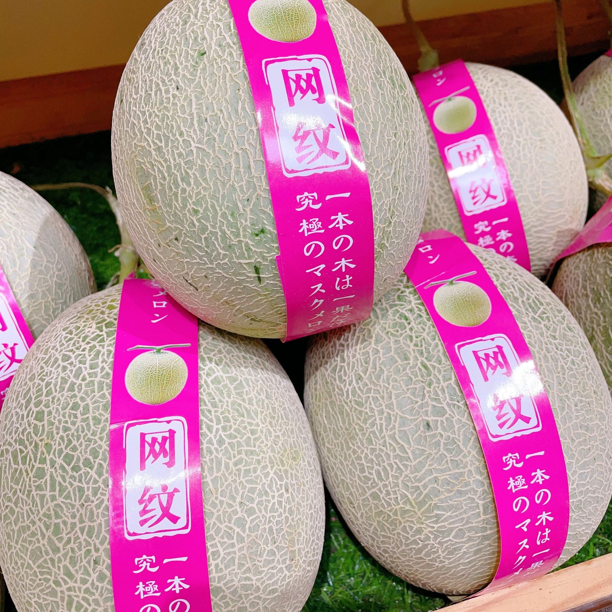 【网纹瓜整果】新疆纯甜网纹瓜！一粒约三斤左右！