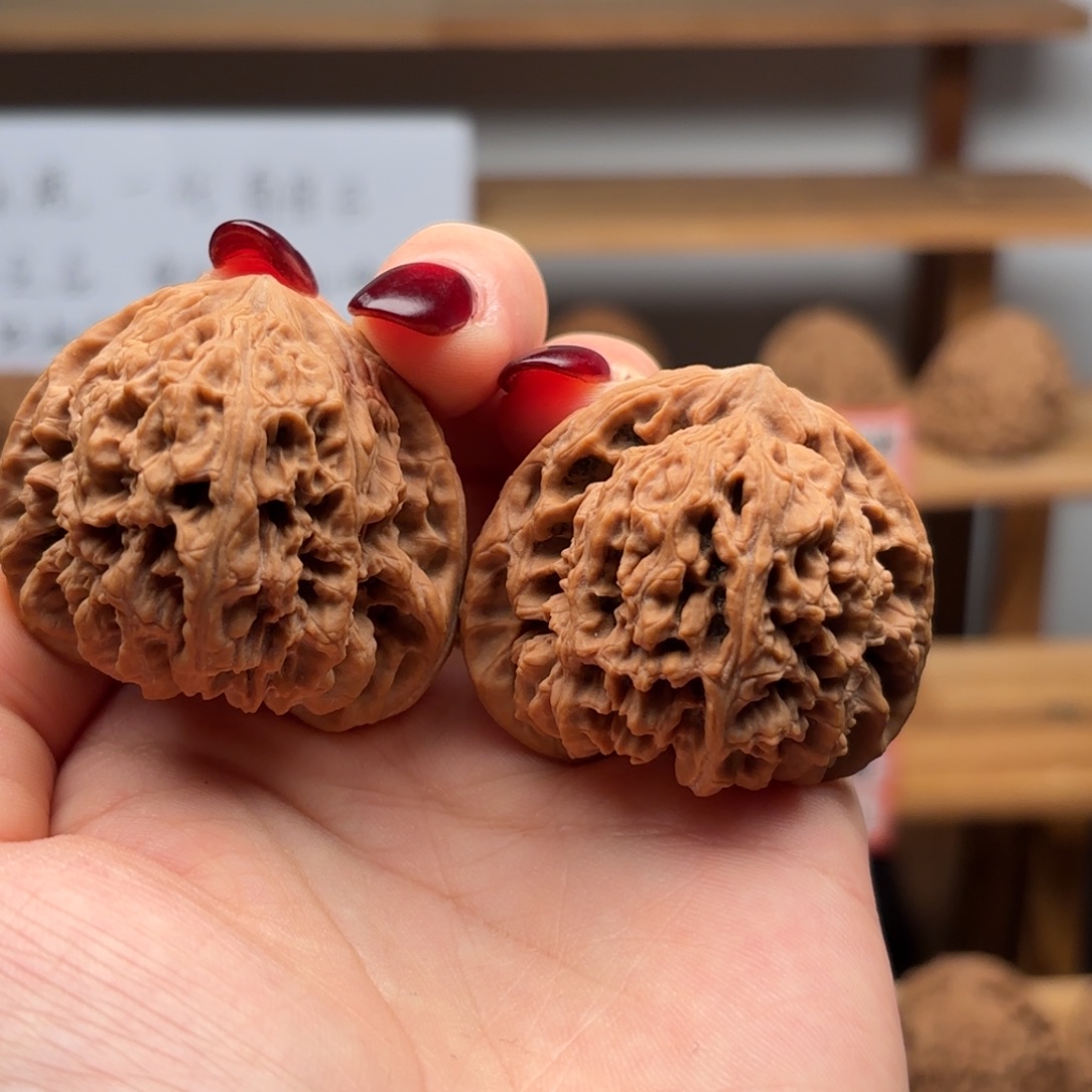 H***鸟核桃涿鹿一代南疆42