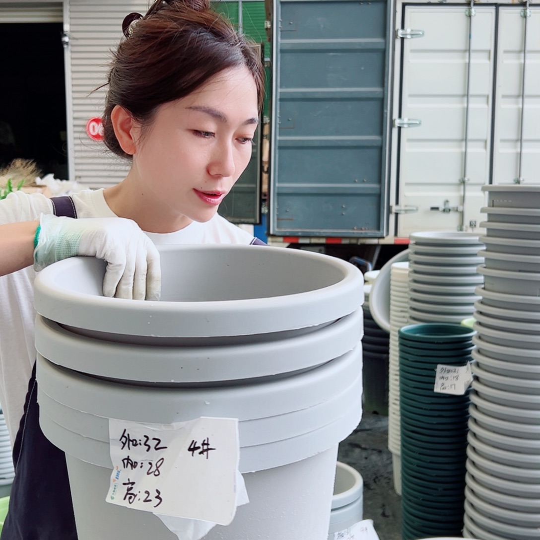 球根盆4#灰白3个无托