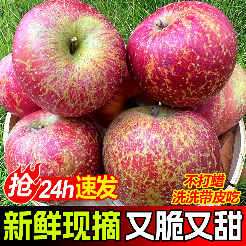 云南昭通正宗冰糖心丑苹果新鲜水果大凉山高原红富士脆萍果2/9斤
