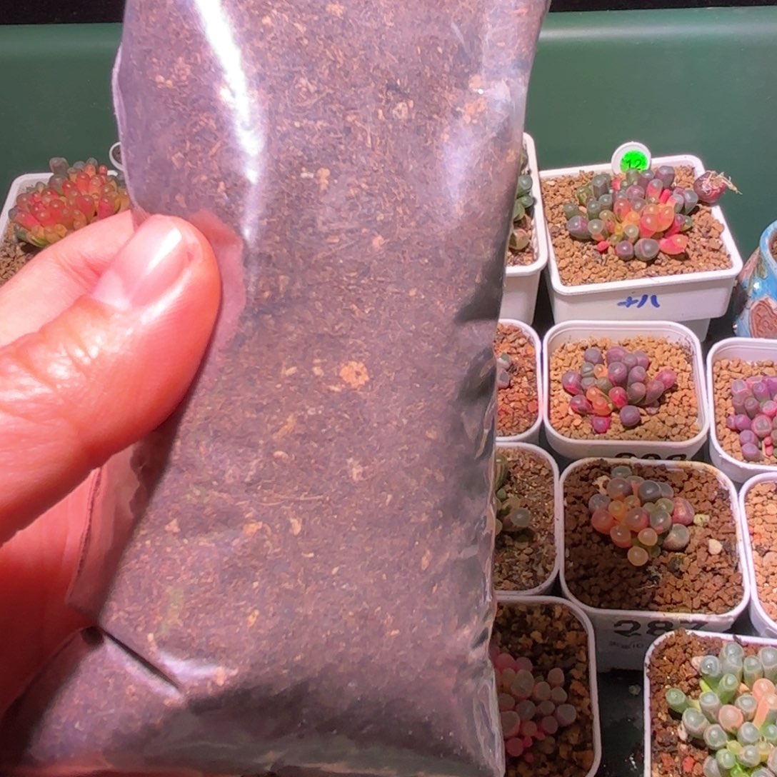 小**%2包播种土专拍