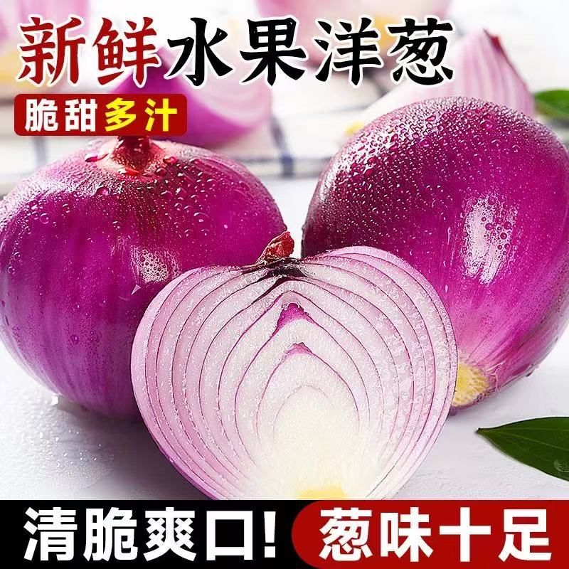 新鲜现挖水果洋葱脆甜可生吃适合炒菜凉拌蔬菜农家自种圆葱批发