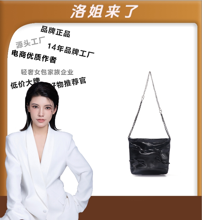 （粉丝专享）新款包包简约女士休闲手提斜跨包LL351