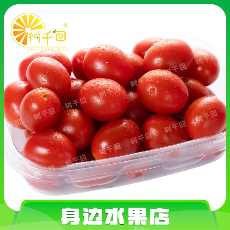 【盒装】玲珑千禧小番茄500g千禧圣女果千禧圣女果海南省