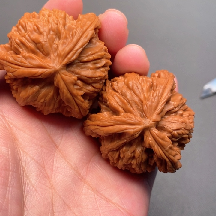 木质类山****~核桃核桃