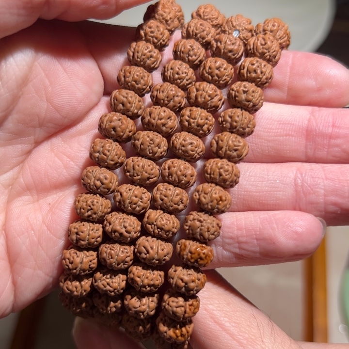 金刚菩提吊坠304胡户籍噢噢噢哦哦啦啦啦姐姐