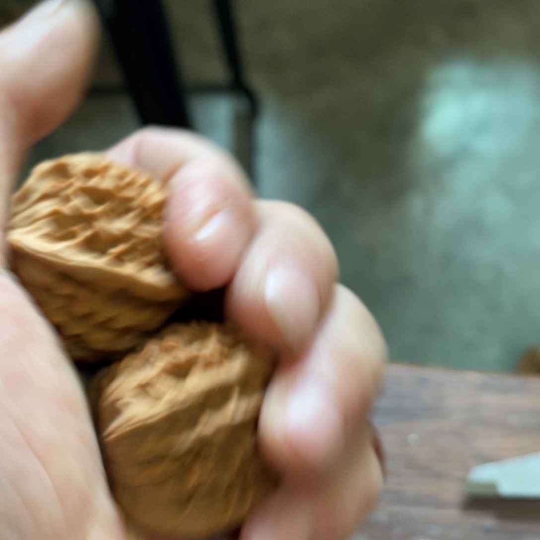 秦岭南北区有什么可以